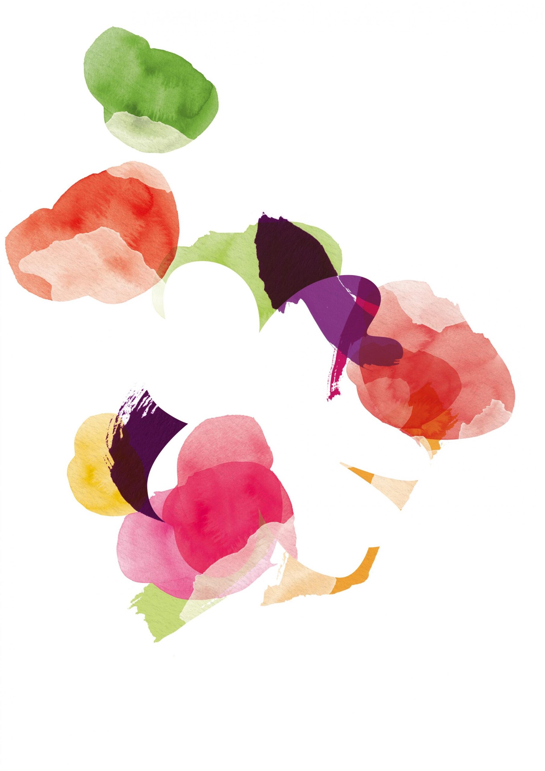 symrise-illustrations-floral